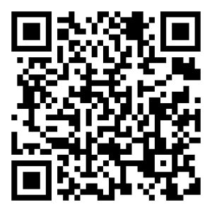 Rabbi Yisroel Rapoport Memorial Group